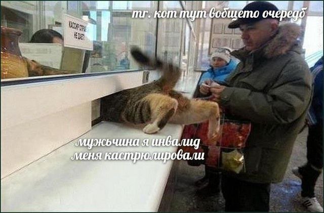 Смешные мемы - 10.06.2025