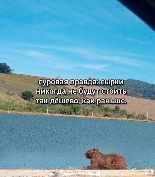 Смешные мемы - 10.06.2025
