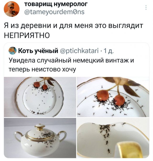 Подборка забавных твитов обо всем
