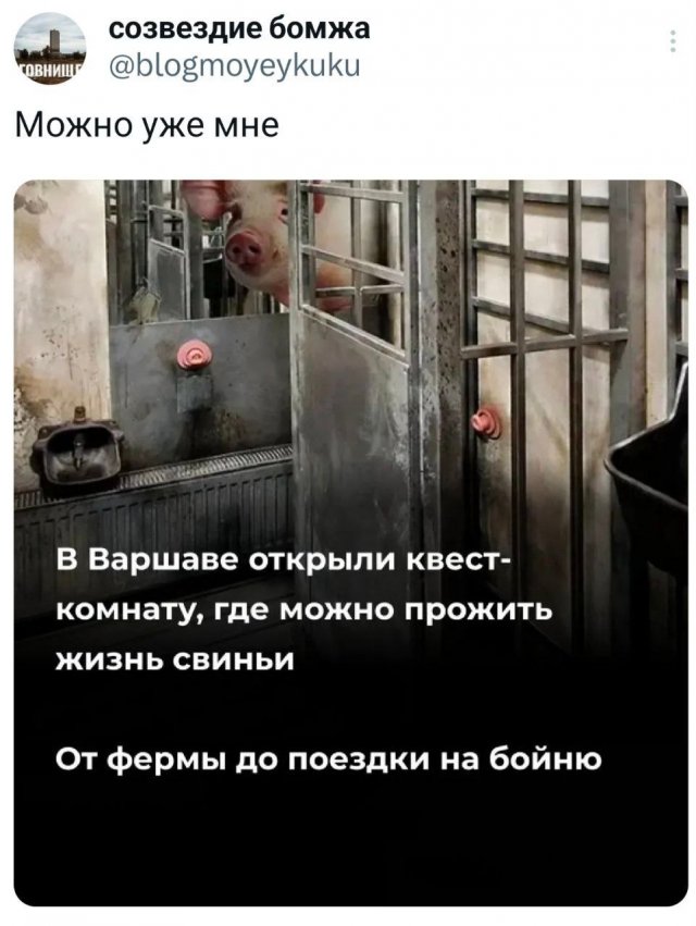 Подборка забавных твитов обо всем