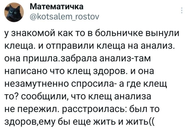Подборка забавных твитов обо всем