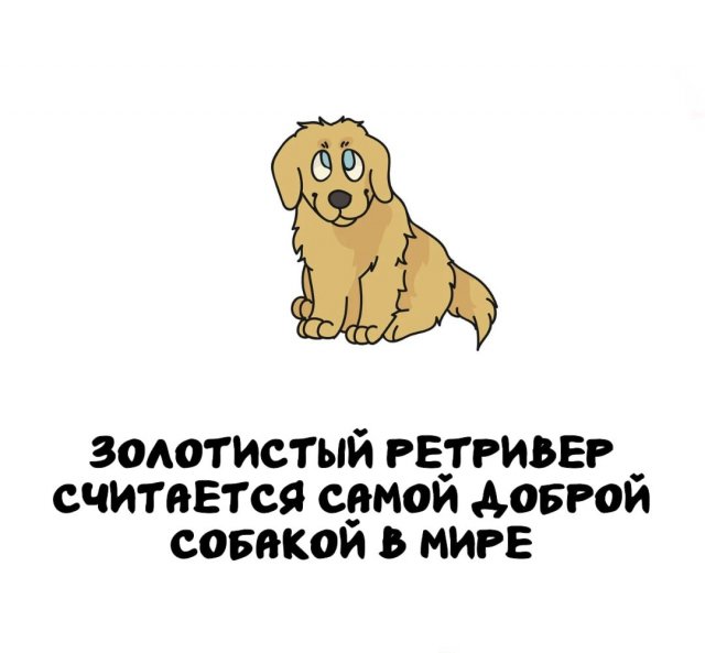 Интересные факты на все случаи жизни