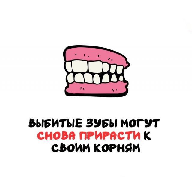 Интересные факты на все случаи жизни