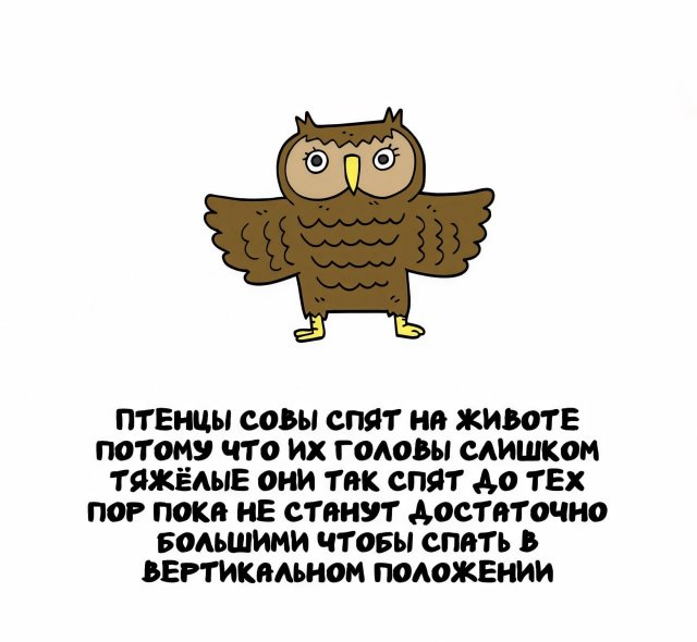 Интересные факты на все случаи жизни