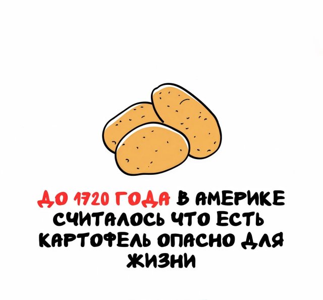 Интересные факты на все случаи жизни