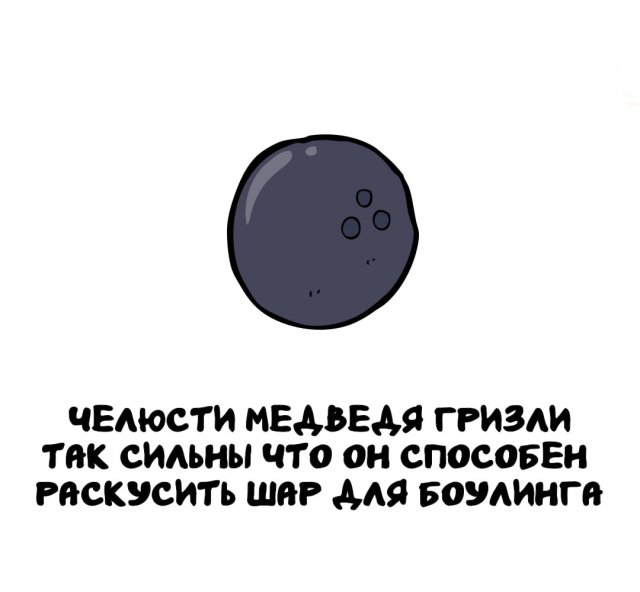 Интересные факты на все случаи жизни