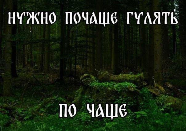 Лучшие шутки и мемы из Сети - 10.06.2025