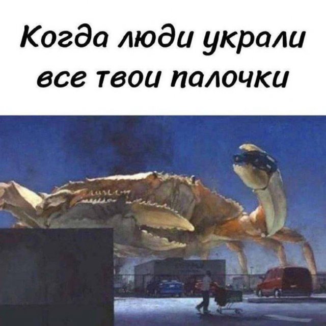 Лучшие шутки и мемы из Сети - 10.06.2025