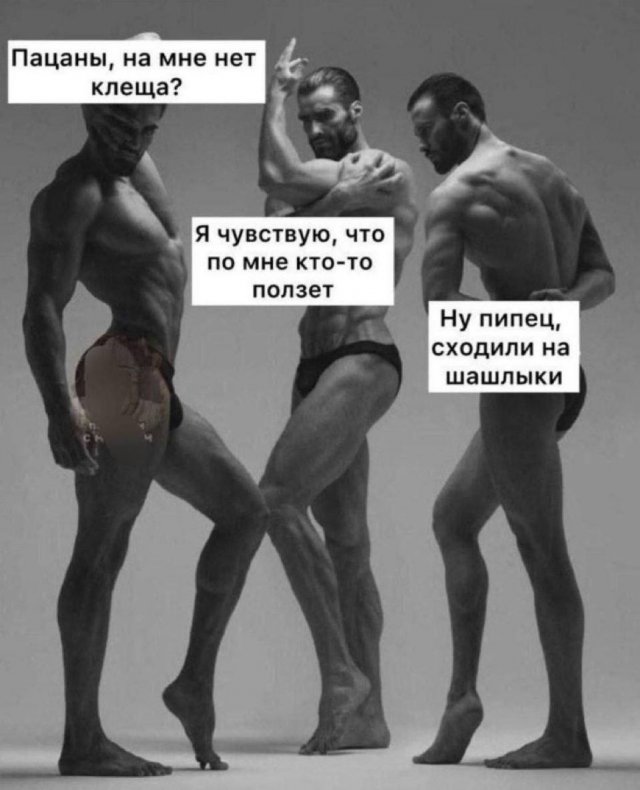 Лучшие шутки и мемы из Сети - 10.06.2025