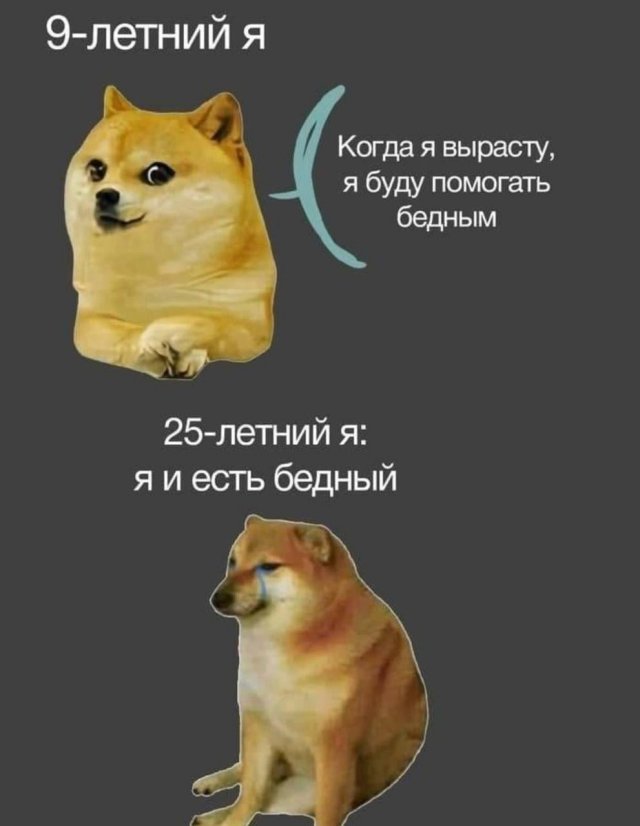 Лучшие шутки и мемы из Сети - 10.06.2025