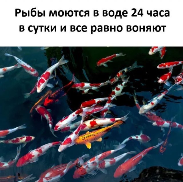 Лучшие шутки и мемы из Сети - 10.06.2025