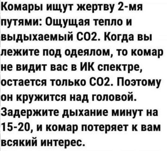 Лучшие шутки и мемы из Сети - 10.06.2025