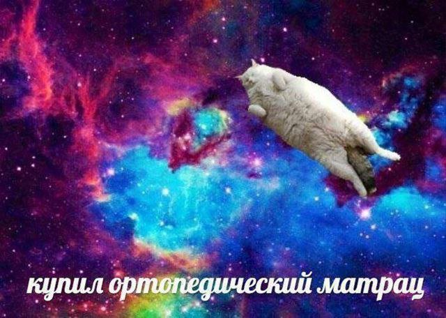 Лучшие шутки и мемы из Сети - 10.06.2025