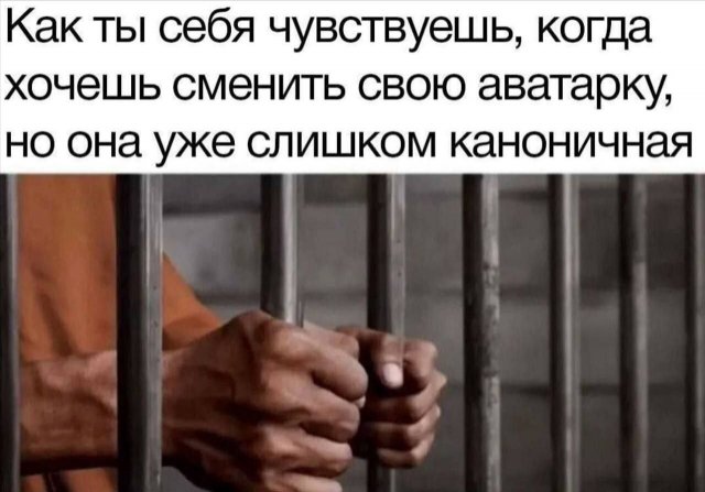 Лучшие шутки и мемы из Сети - 11.06.2025