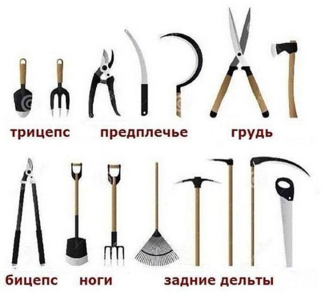 Лучшие шутки и мемы из Сети - 11.06.2025