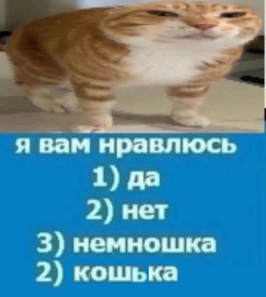 Лучшие шутки и мемы из Сети - 11.06.2025