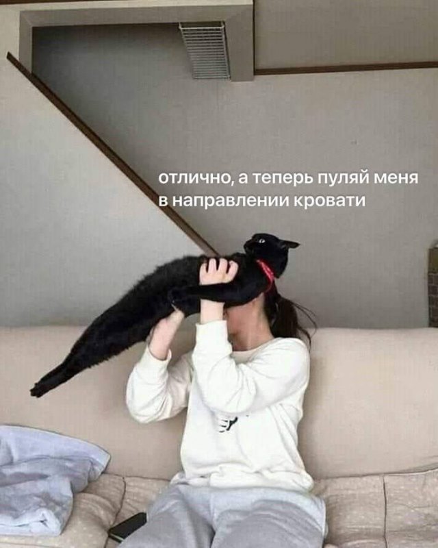 Лучшие шутки и мемы из Сети - 11.06.2025