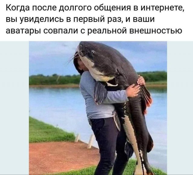 Лучшие шутки и мемы из Сети - 11.06.2025