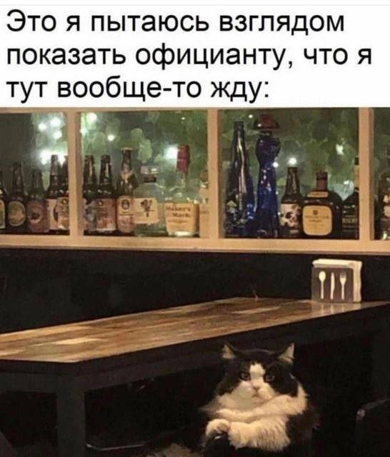 Смешные мемы - 11.06.2025