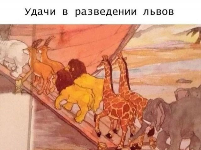 Смешные мемы - 11.06.2025