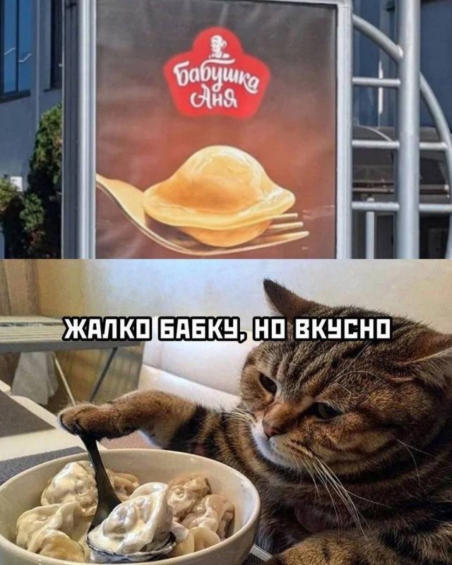 Смешные мемы - 11.06.2025