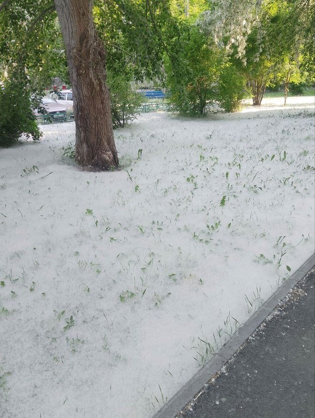 Тюмень занесло снегом Тюмень занесло снегом