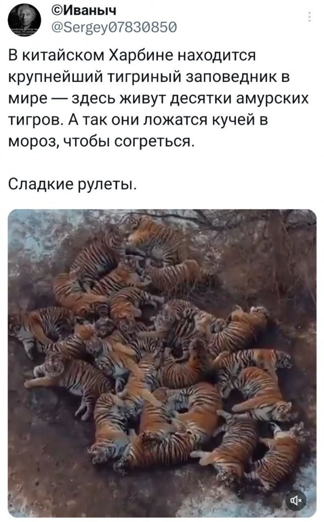 Подборка забавных твитов обо всем