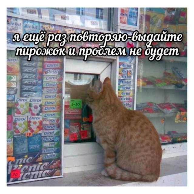 Лучшие шутки и мемы из Сети - 12.06.2025