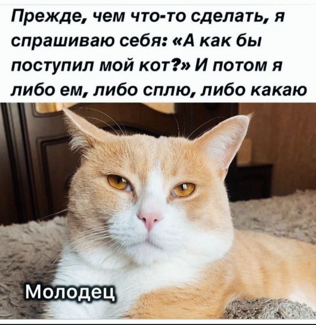 Лучшие шутки и мемы из Сети - 12.06.2025