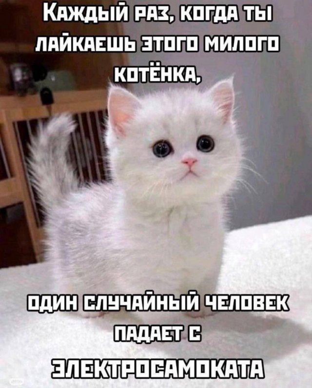 Лучшие шутки и мемы из Сети - 12.06.2025