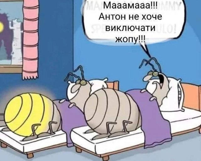 Смешные мемы - 12.06.2025