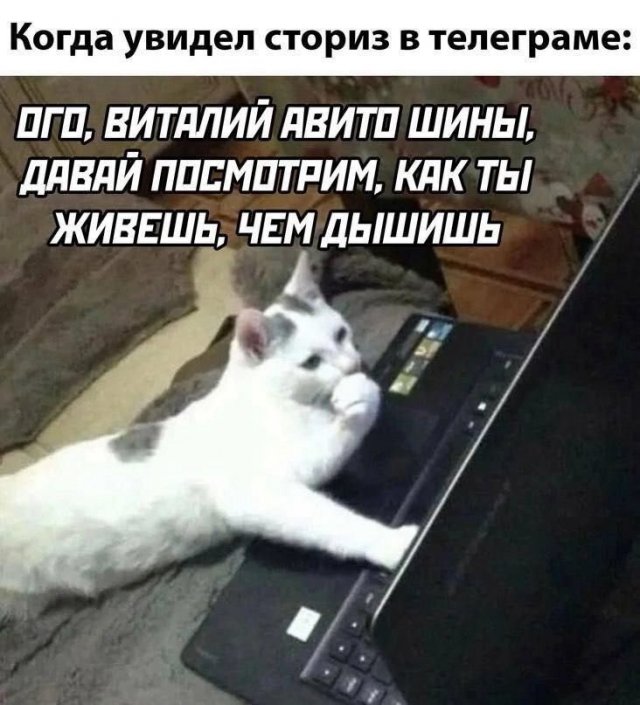 Смешные мемы - 12.06.2025