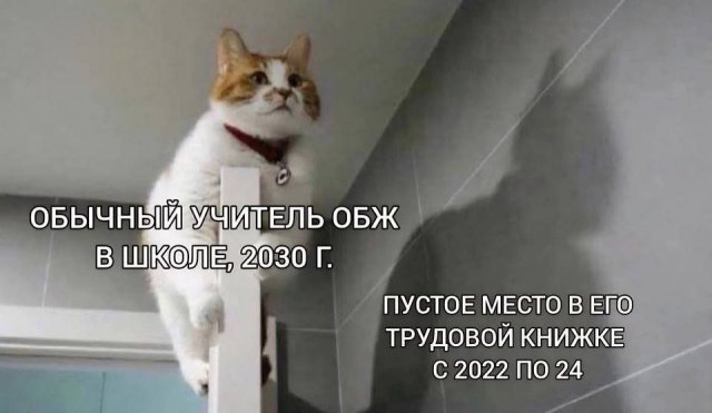 Смешные мемы - 12.06.2025