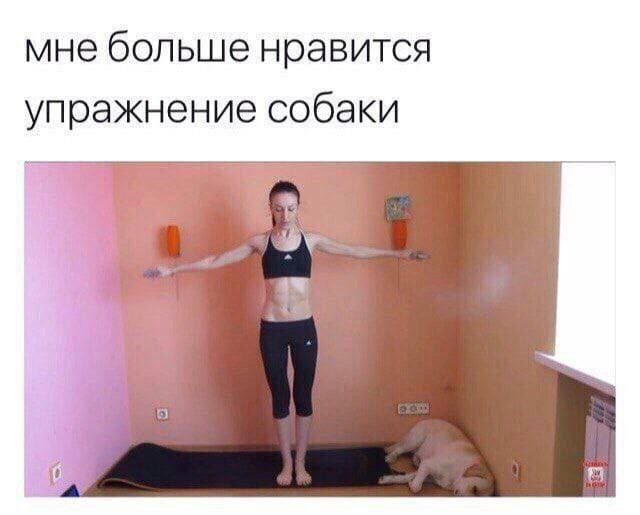 Смешные картинки - 13.06.2025
