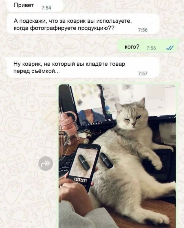 Смешные картинки - 13.06.2025