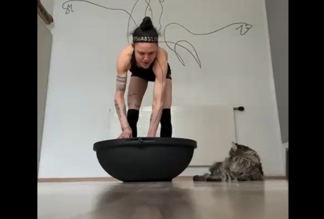 Как заниматься с котом