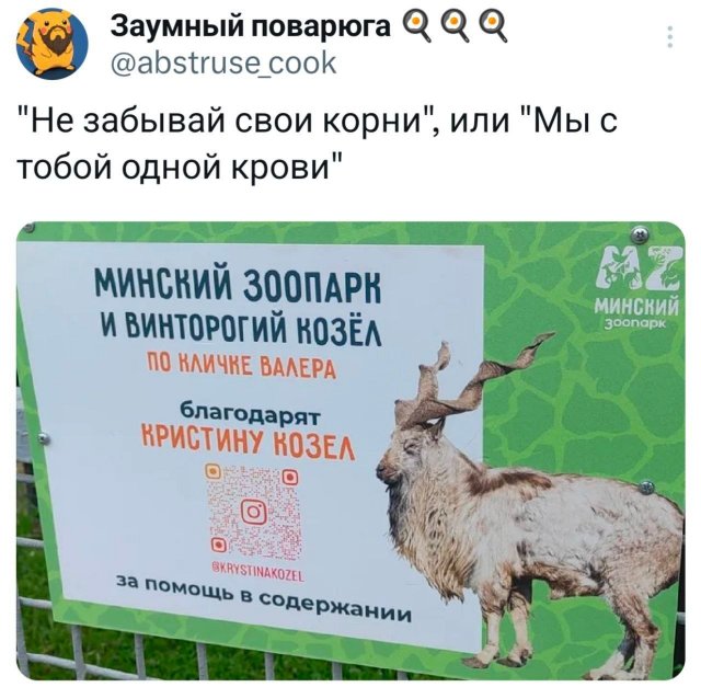 Подборка забавных твитов обо всем