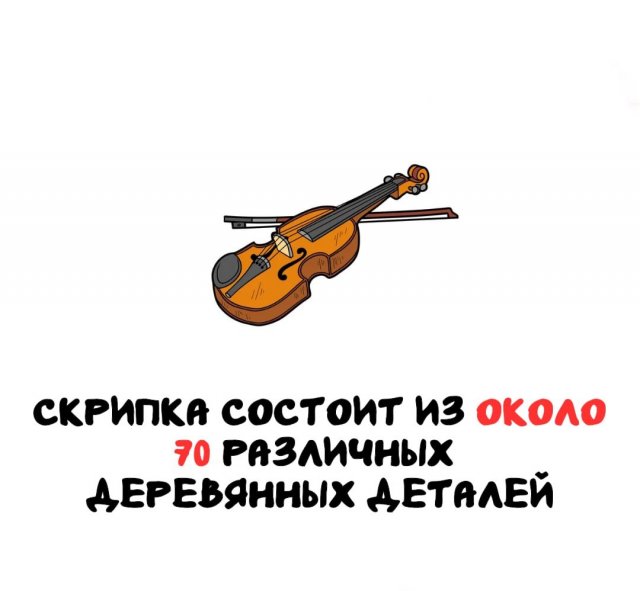 Интересные факты на все случаи жизни