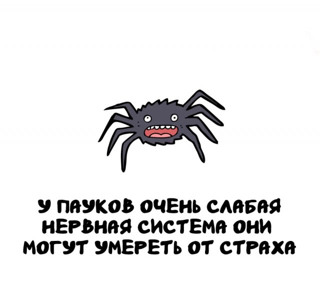 Интересные факты на все случаи жизни