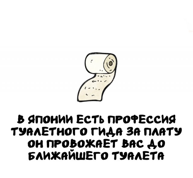 Интересные факты на все случаи жизни