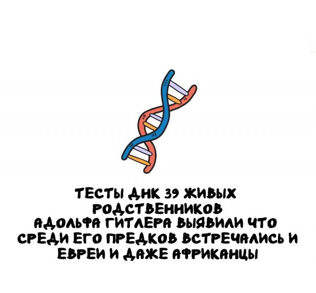 Интересные факты на все случаи жизни