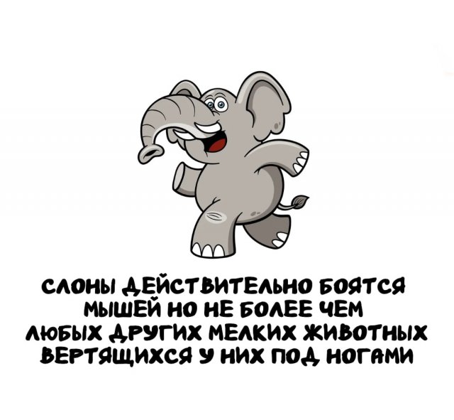 Интересные факты на все случаи жизни