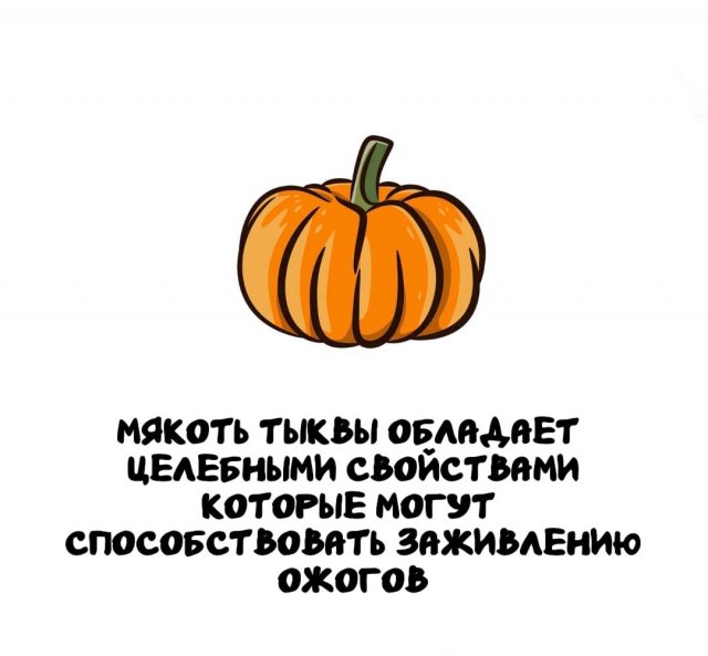 Интересные факты на все случаи жизни