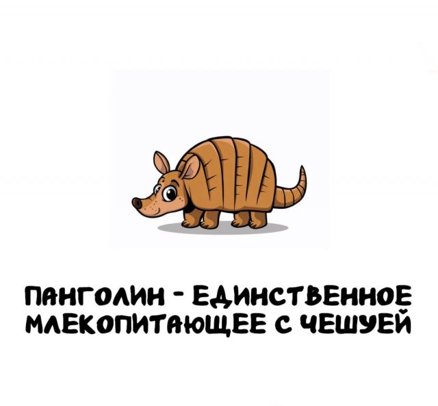 Интересные факты на все случаи жизни