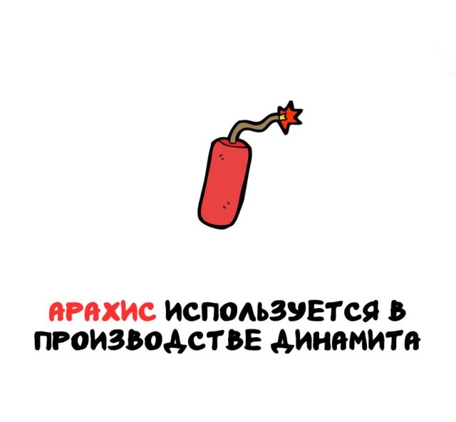 Интересные факты на все случаи жизни