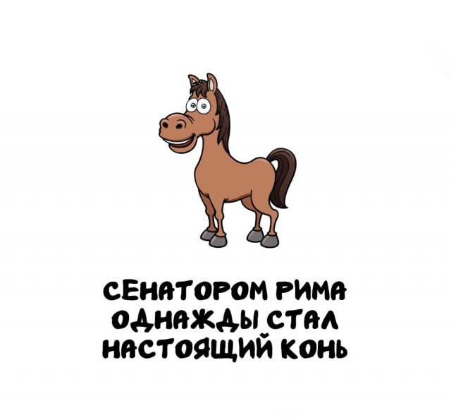 Интересные факты на все случаи жизни