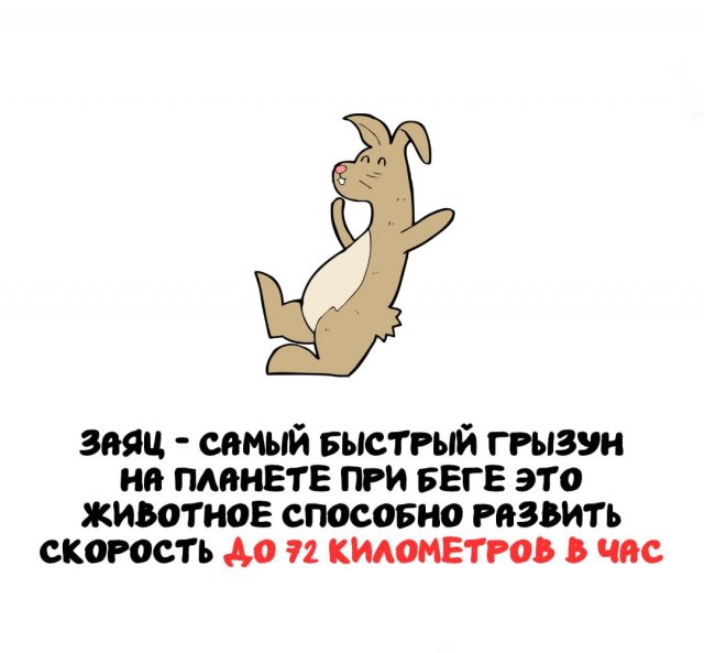 Интересные факты на все случаи жизни