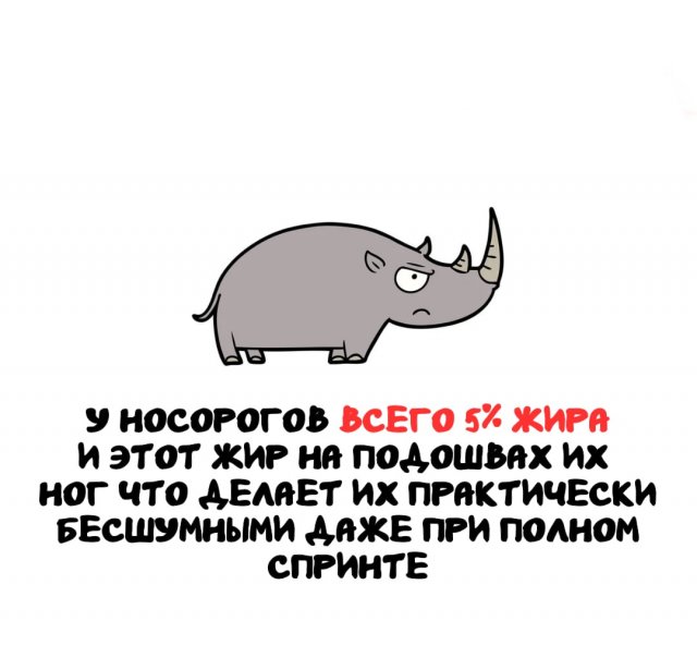 Интересные факты на все случаи жизни
