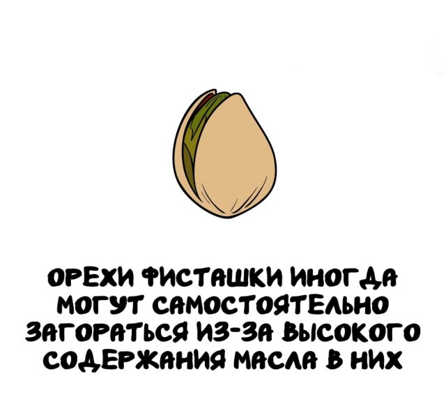 Интересные факты на все случаи жизни