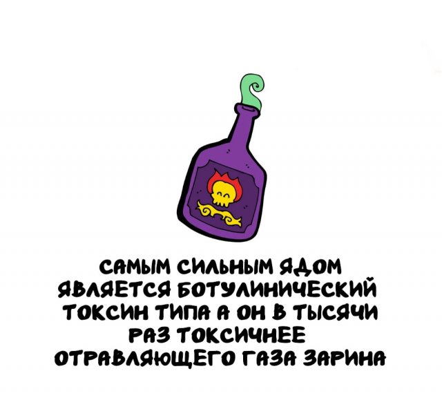 Интересные факты на все случаи жизни